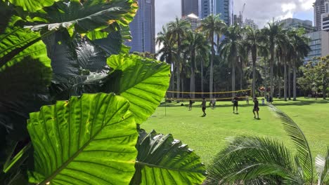 players engaged in a volleyball match outdoors