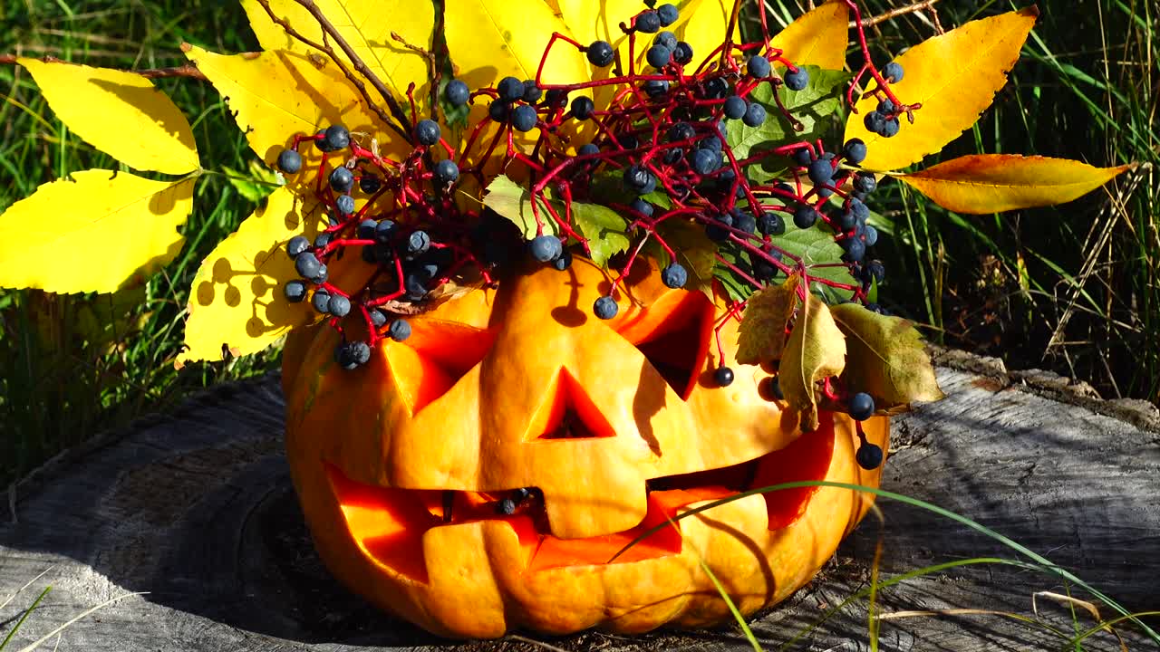 Griezelige Halloweenpompoen. Het monster zit op een boomstronk.