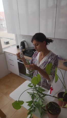 woman caring for houseplants in a modern kitchen