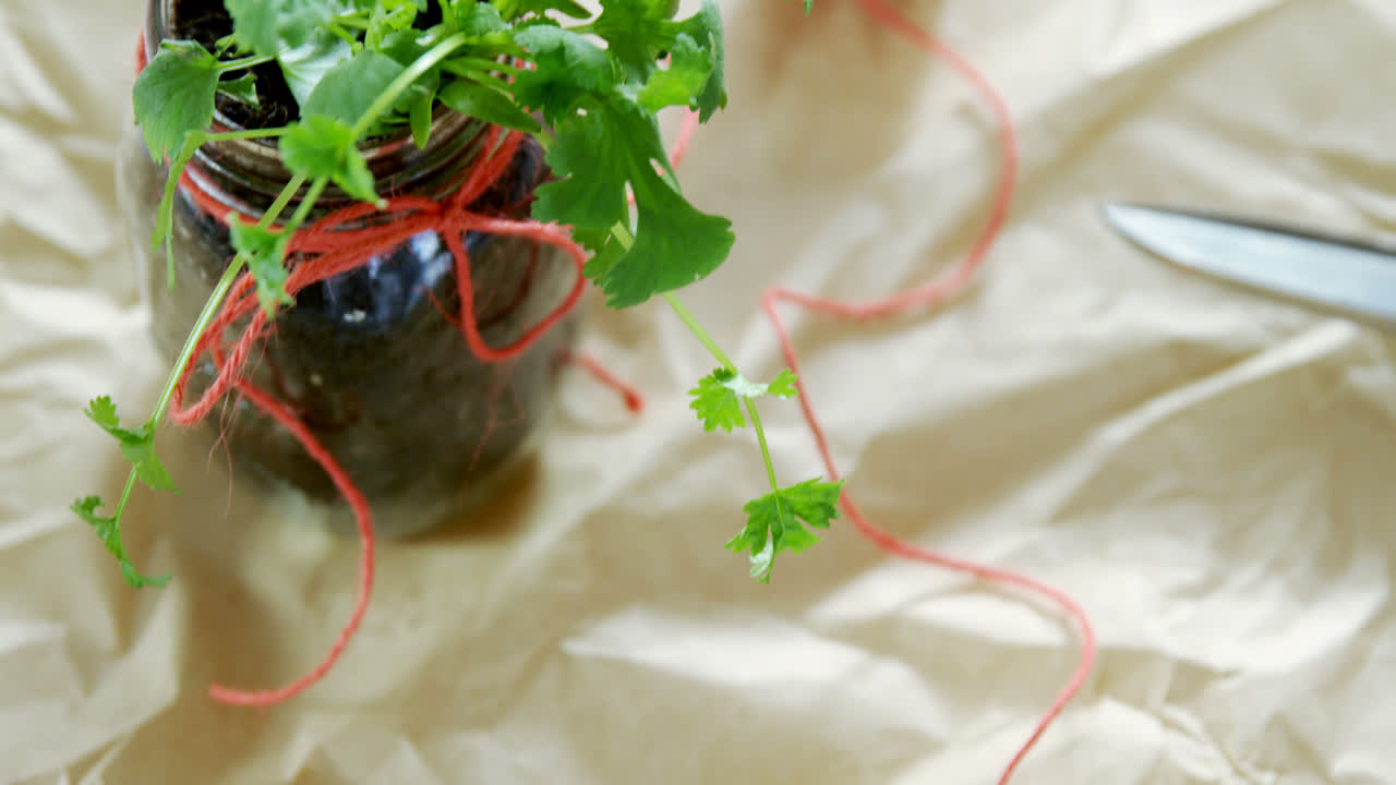 갈색 종이 4k에 항아리에 코리안더