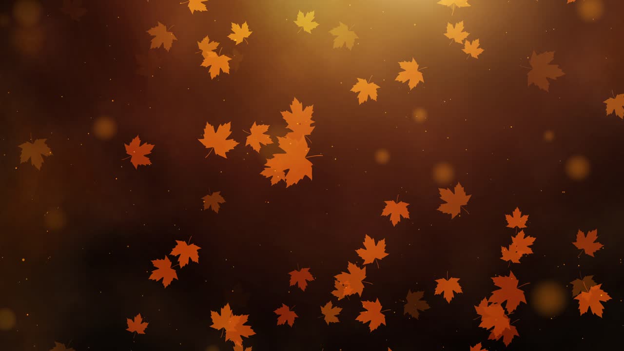 Autumn maple leaves falling on dark golden brown background with orange red foliage drifting downward and bokeh light effects creating warm seasonal video perfect for fall projects