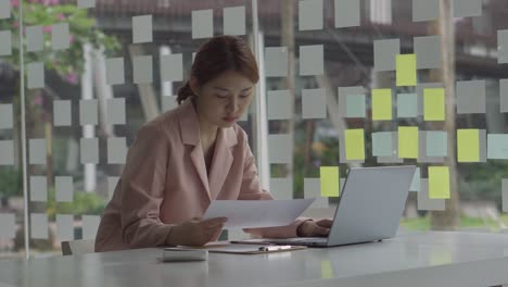 a young woman working with a laptop in a coffee shop business idea financial girl accountant