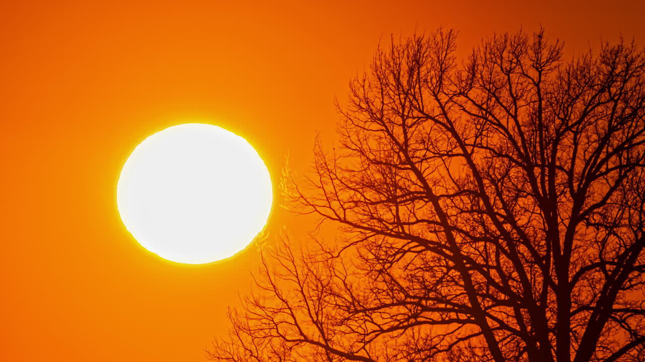 Časosběr velkého slunce blízko horizontu s holými větvemi stromů v siluetě na oranžové podzimní obloze.