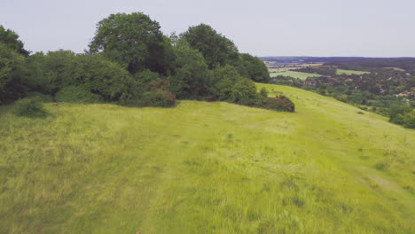 drohnen-aufnahme einer frau, die einen hund auf einem hügel in der englischen sommerlandschaft in streatley berkshire führt