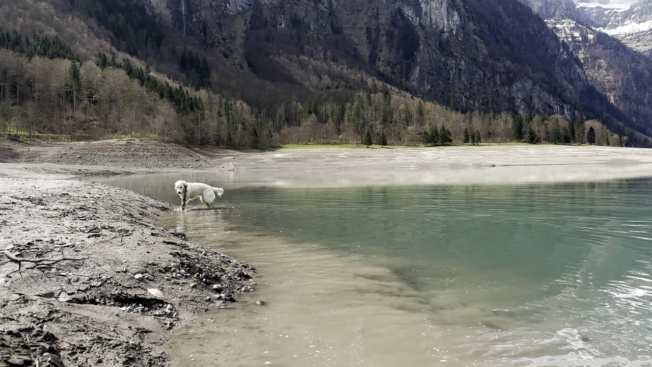 해변 에 있는 지이 와 함께 놀고 있는 행복 한 개