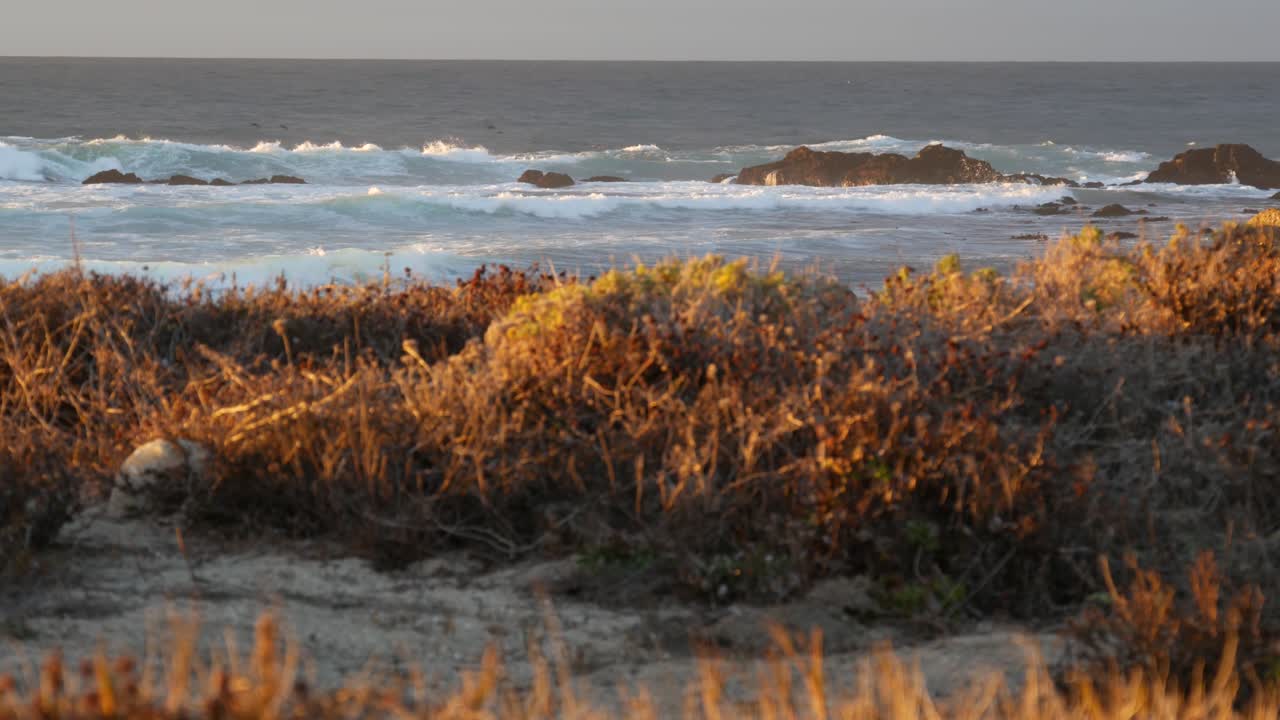 каменистое побережье океана, драматические морские волны, монтерейский пляж, калифорния, летающие птицы.