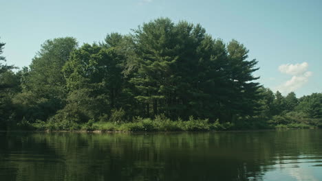 view of shore from peaceful lake in summer, pan left