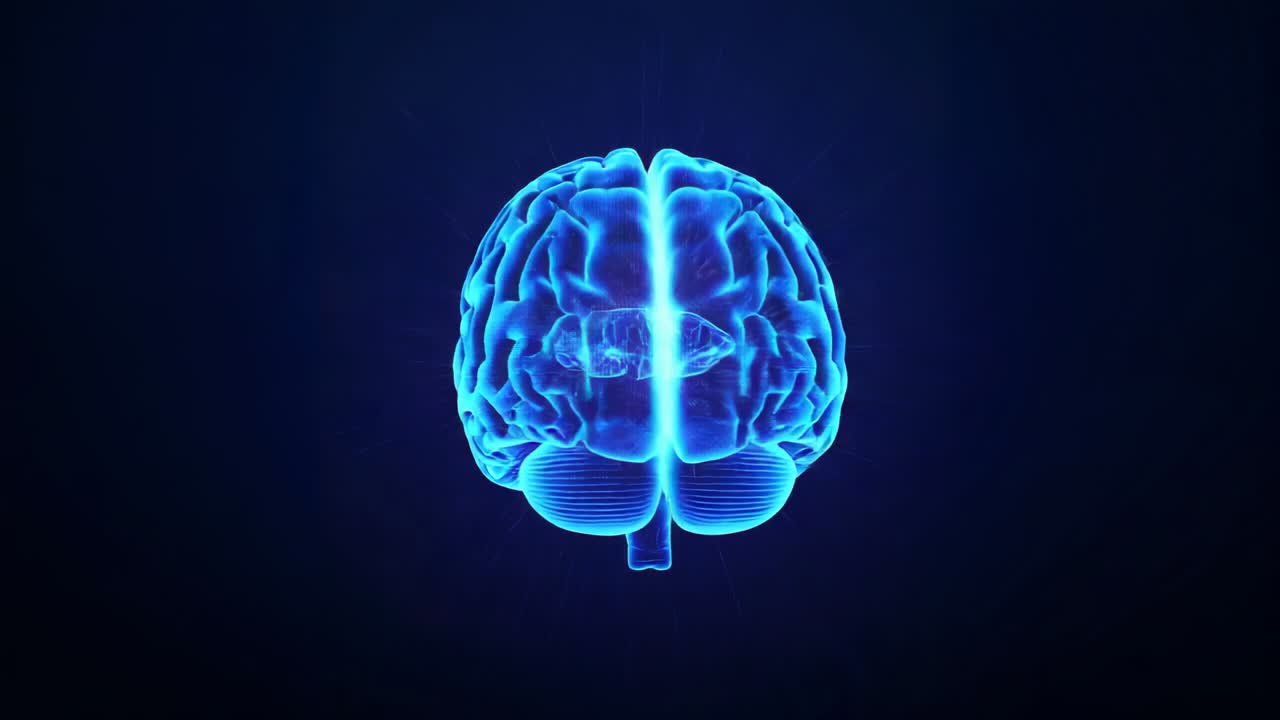 Starting 360° animation rotating neon-blue wireframe brain in virtual lab highlighting cerebellum