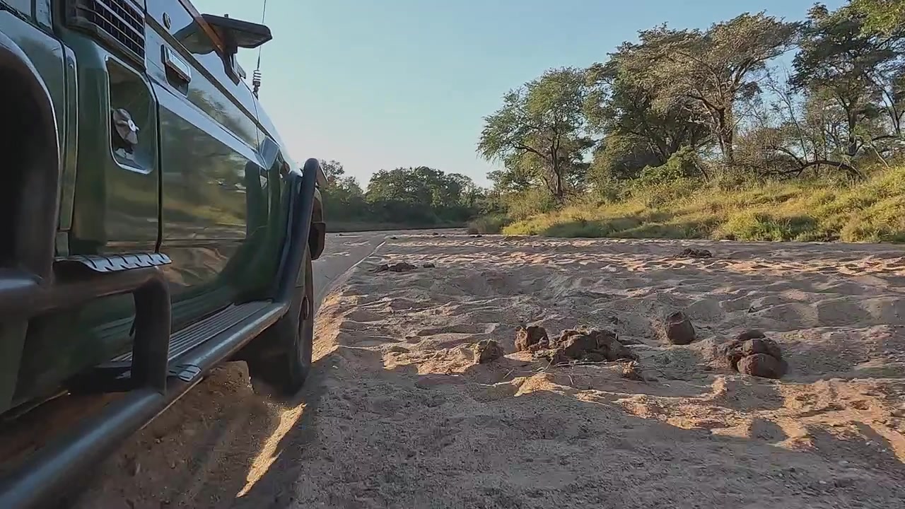 Untersicht: Waldgrüner Safari-Truck fährt in tiefen Sandspuren.