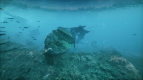 underwater shipwreck with fish swimming around