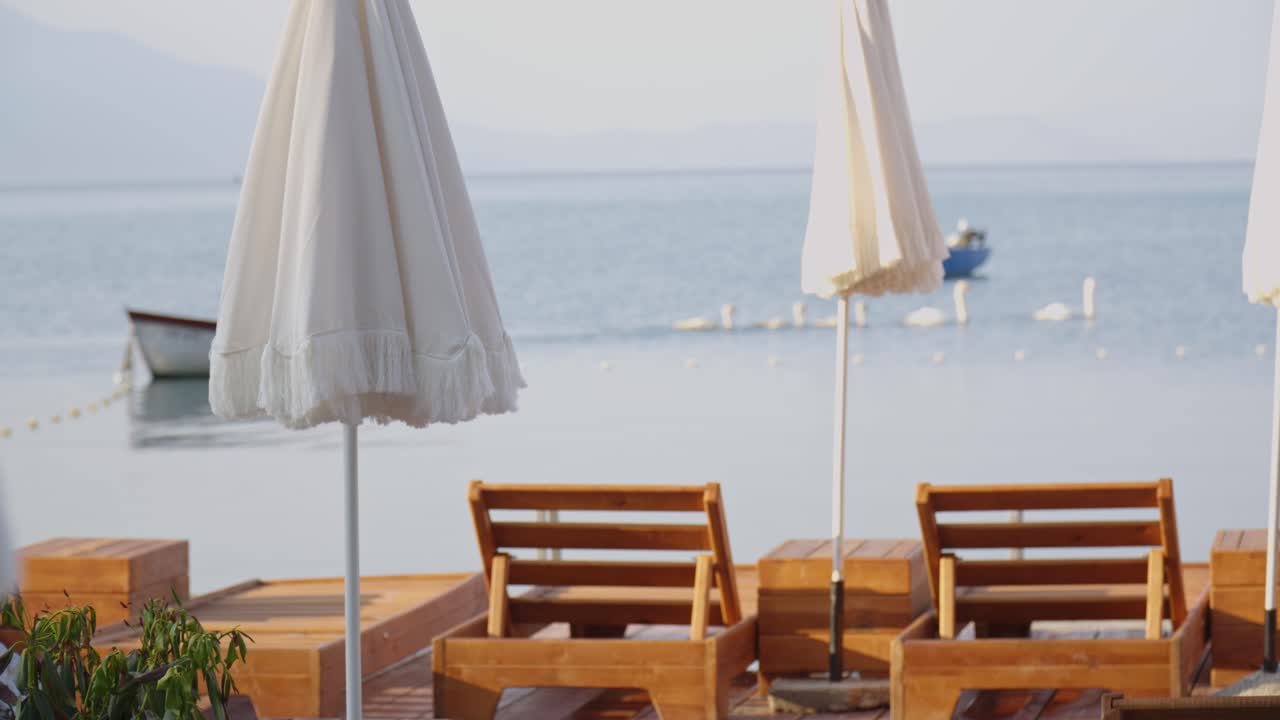 Swans moving calmly in Lake Ohrid behind a chill-out club