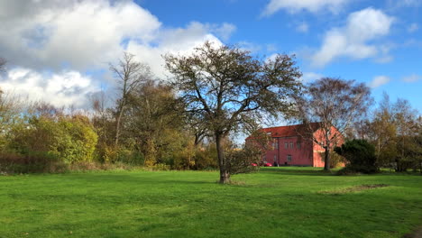 Tree-on-a-green-field-during-windy-conditions