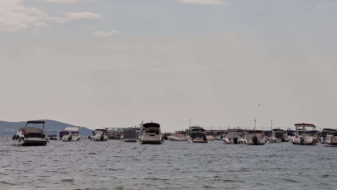 beach, waves in the sea; birds, seagulls flying