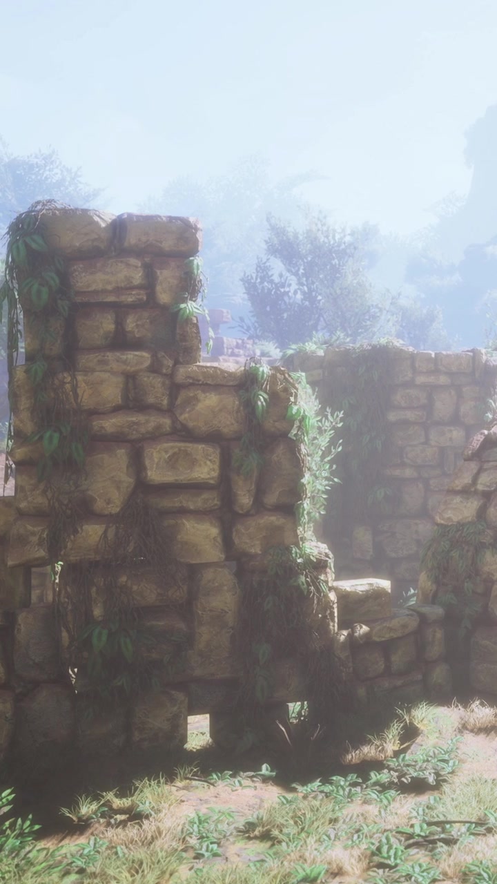 Antiguas ruinas de piedra con plantas en un bosque durante las horas de la mañana.