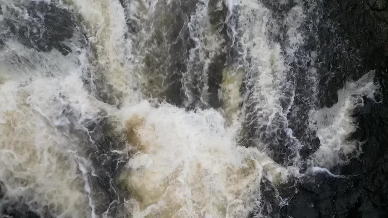 Top Down View of Atlantic Salmon leaping up a waterfall during the anual migration on Almond River in Scotland