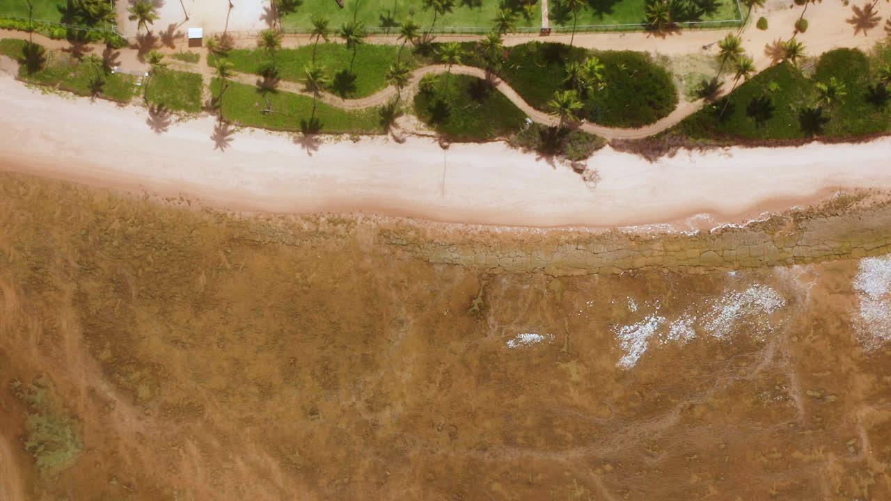 vista aérea de la playa de praia do forte, el arrecife de coral, el área de palmeras y algunas sombrillas de playa, praia do fort, bahía, brasil