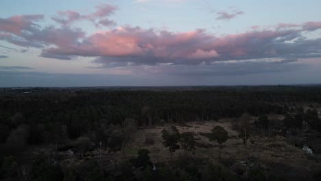 Gloria-De-La-Hora-Dorada:-Cielos-Espectaculares-Y-Bosques-De-Pinos-Desde-Arriba