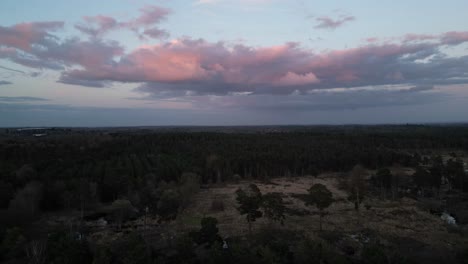 golden hour glory: dramatic skies and pine forests from above