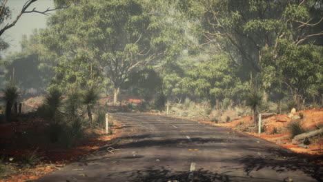 camino de la selva en el parque baluran en indonesia
