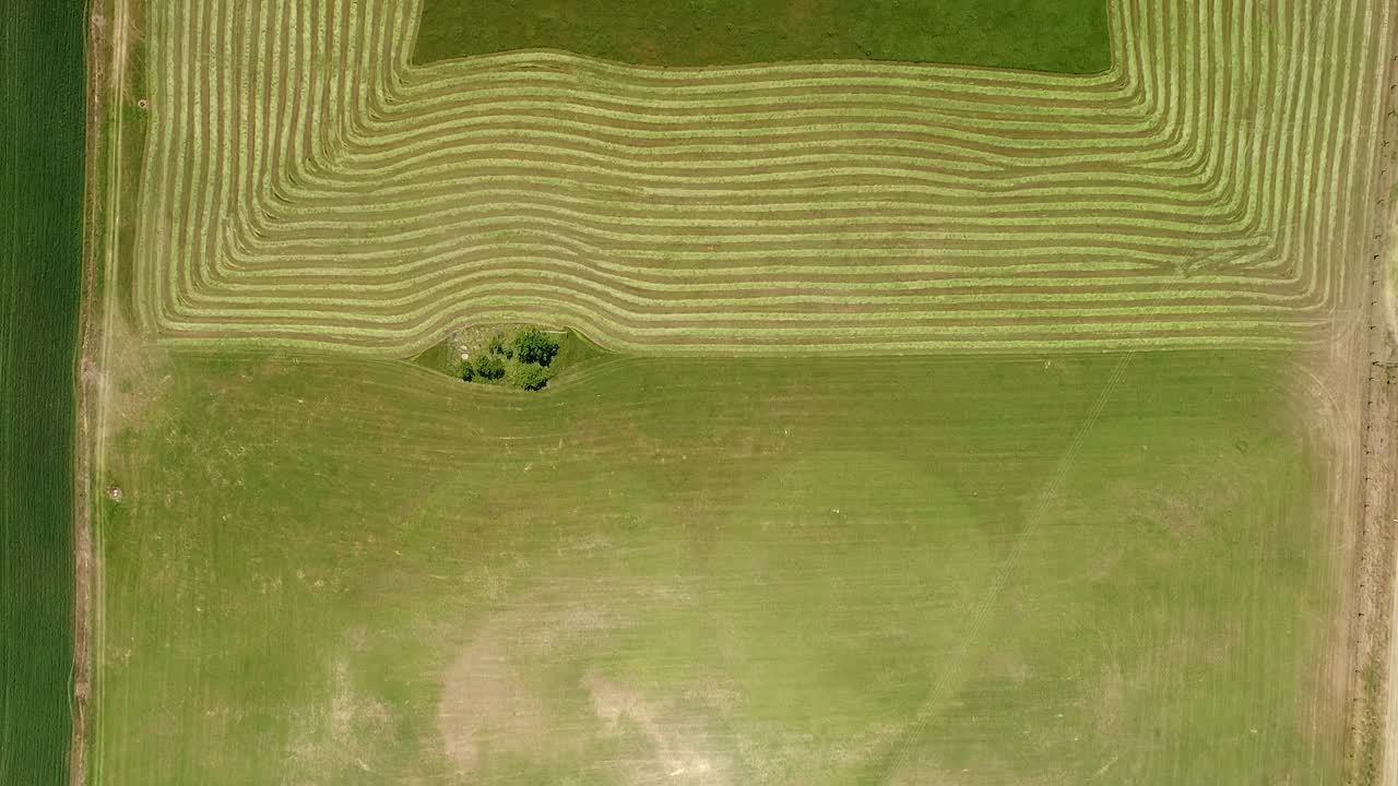 valle del cazador, granja del río cuadrado verde de arriba hacia abajo