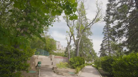 park with trees and path