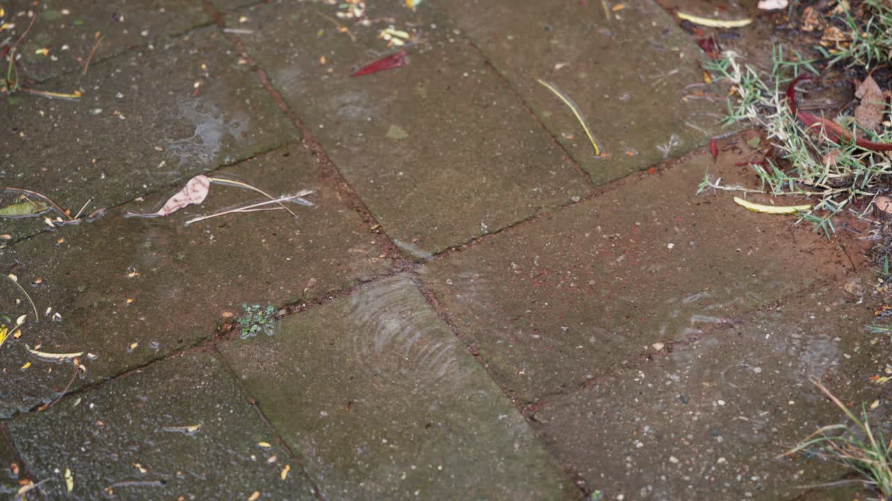 Looking down on a rain puddle, slow motion captures expanding ripples from falling drops, highlighting water’s movement and texture.