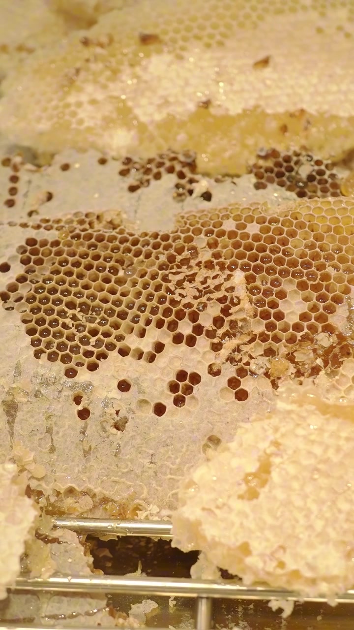Fresh Honey Dripping from Raw Honeycomb