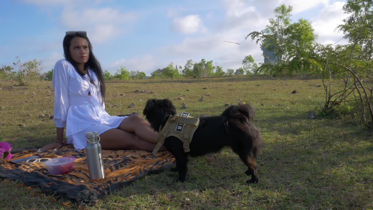 ⁇  드레스를 입은 예쁜 아시아 소녀가 잔디 ⁇ 에서 두 개의 개와 함께 피크닉을 하고 있습니다.