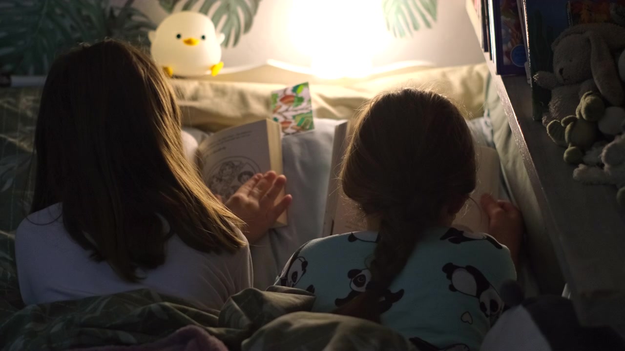 Bookworm twins reading bedtime stories together in bed by night lamp, rear view