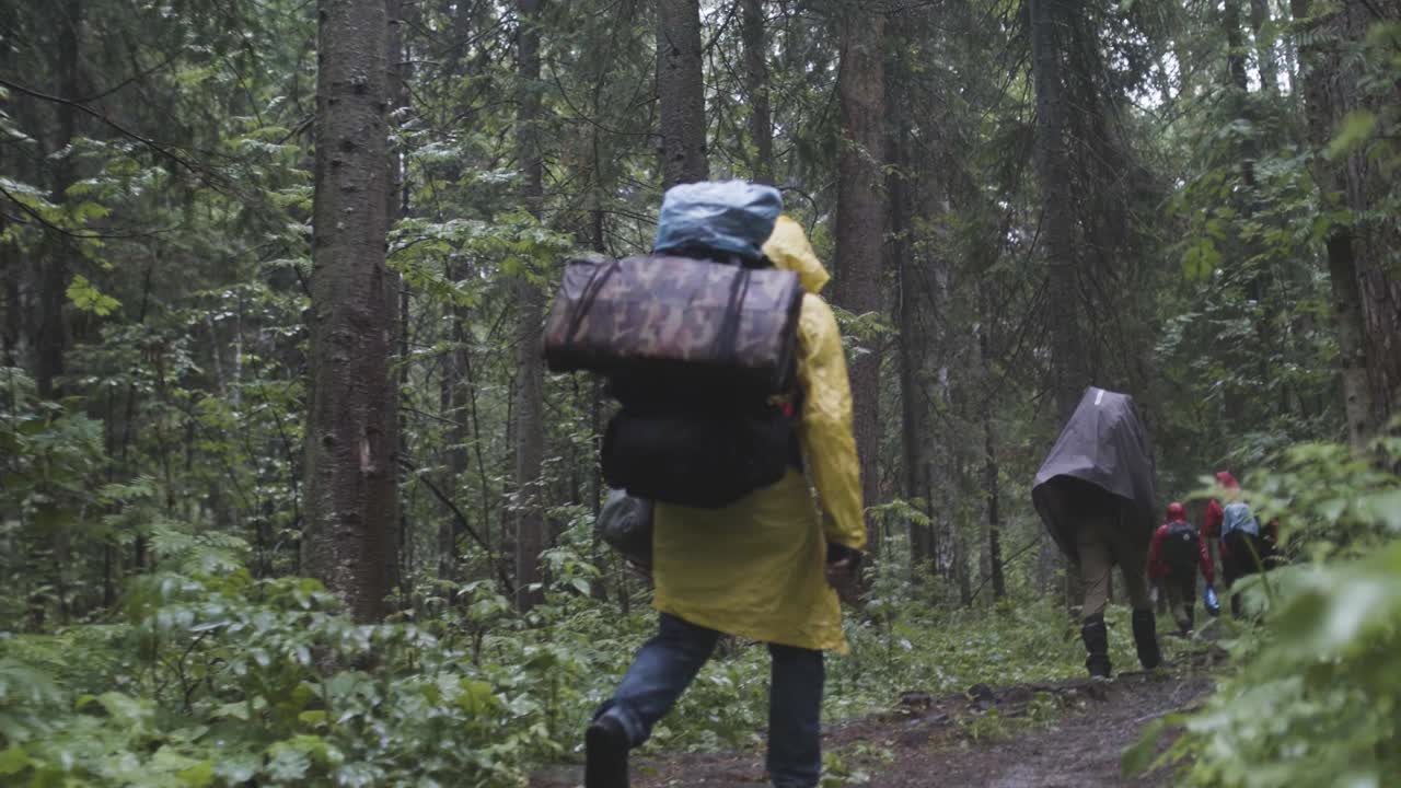 Hikers in a Rainy Forest