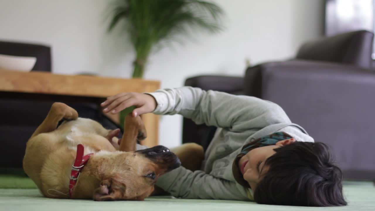 입양 전에 귀여운 강아지와 함께 노는 아이