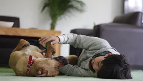 kid playing laid down with a cute puppy before adoption