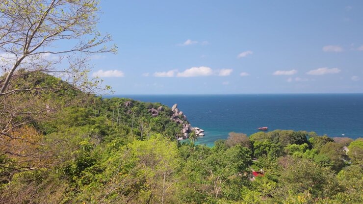 Rigogliosa collina verde che scende verso il mare blu con costa rocciosa sotto un cielo sereno, Thailandia.