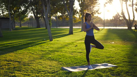 una hermosa joven yogui sosteniendo el equilibrio en una oración meditativa de una pierna con las manos en una pose de yoga en una alfombra en el parque al amanecer