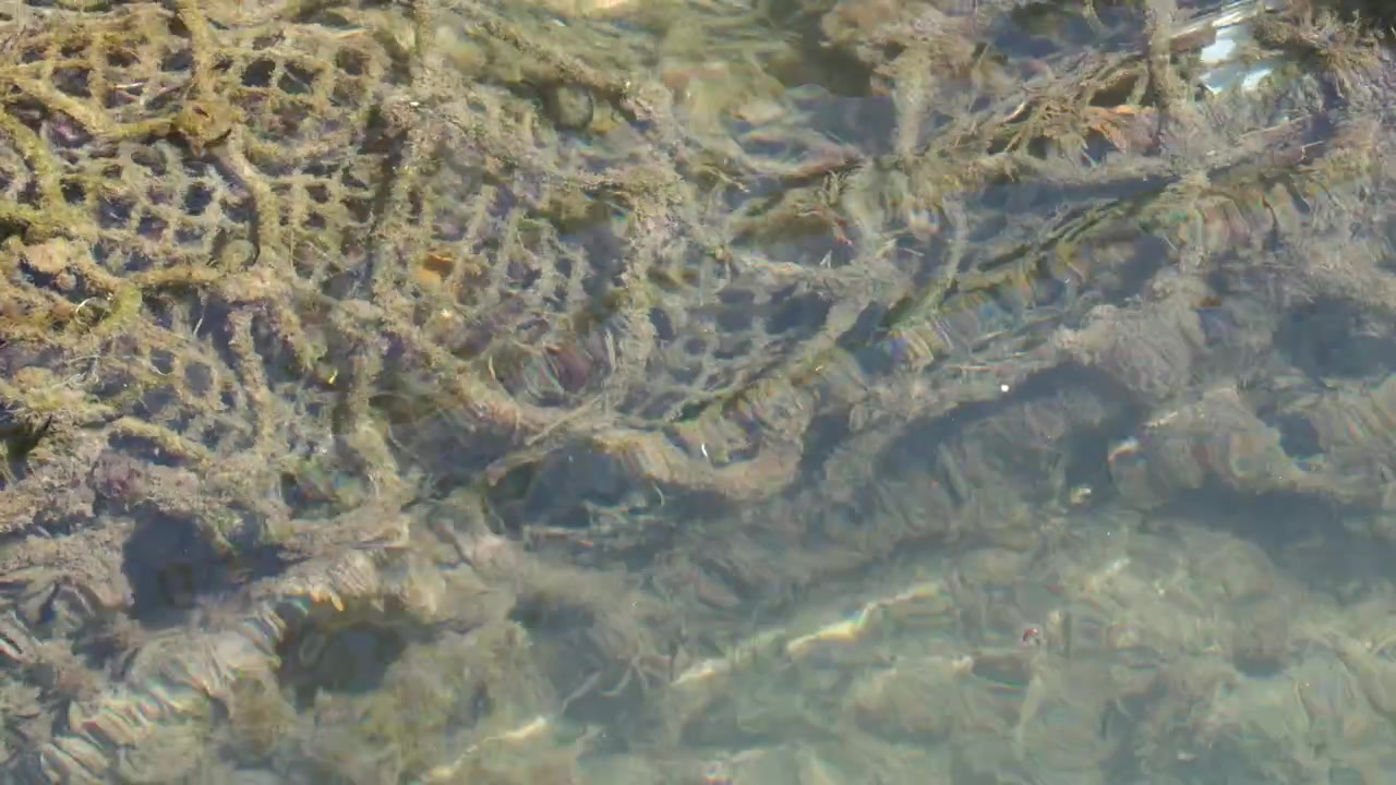 Primo piano di una rete da pesca sommersa sott'acqua con increspature superficiali a Cassis, Francia.