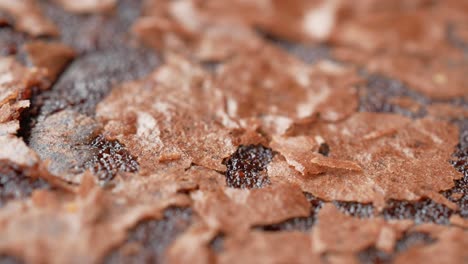 close-up of a chocolate brownie