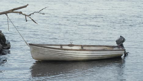fiberglass lake boat moored off shoreline