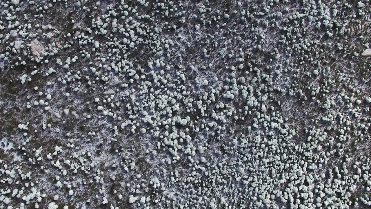 시더버그 산맥의 공중 촬영