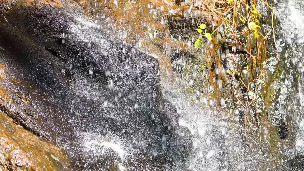 Cascading water over rocks and foliage