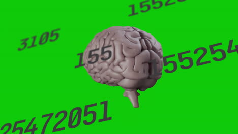gray 3d brain model rotating against green backdrop, showing floating gray numeric data overlays