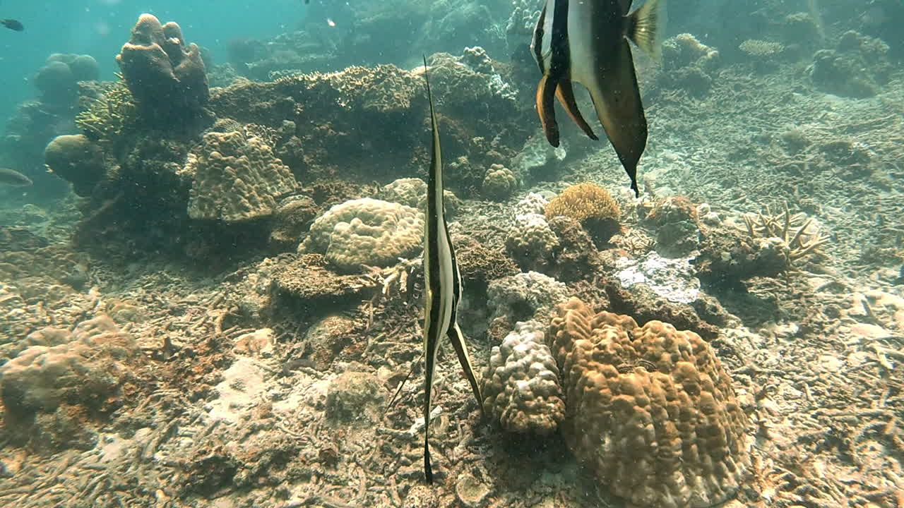 hacer nuevos amigos.