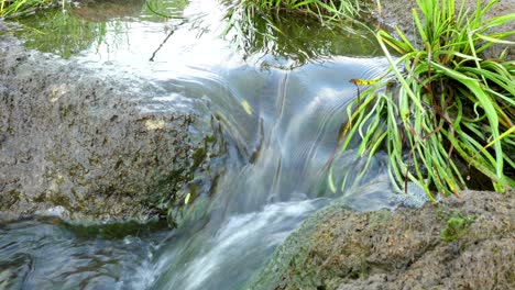 fast flowing river with stones in the water 4k
