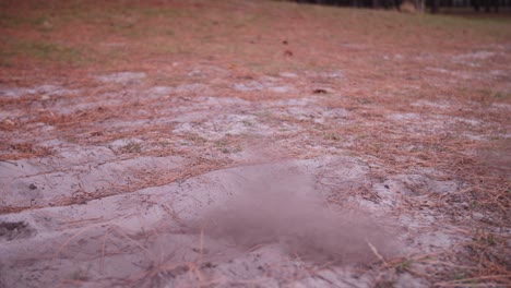 man jogging and dirt flying up from shoe