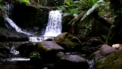 dolly shot of horseshoe falls at mt field, tasmania