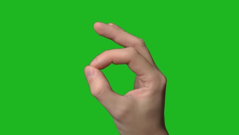 man shows ok with his fingers. person hand gesture sign on green. approval. okey