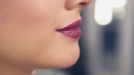 Professional makeup artist&#039;s hand applying lipstick or lip gloss on model&#039;s lips working in beauty fashion industry. Slow Motion