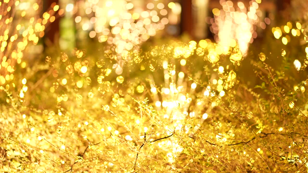 освещение города зафиксировано не в фокусе.