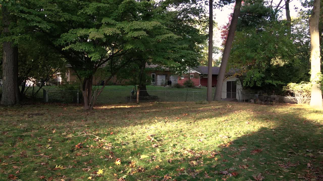 떨어진 낙엽으로 듬성듬성 채워진 뒤뜰