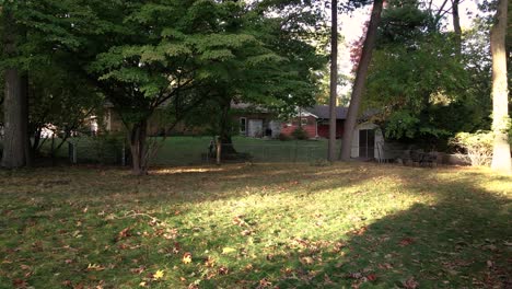 A-backyard-sparsely-filled-with-fallen-fall-leaves