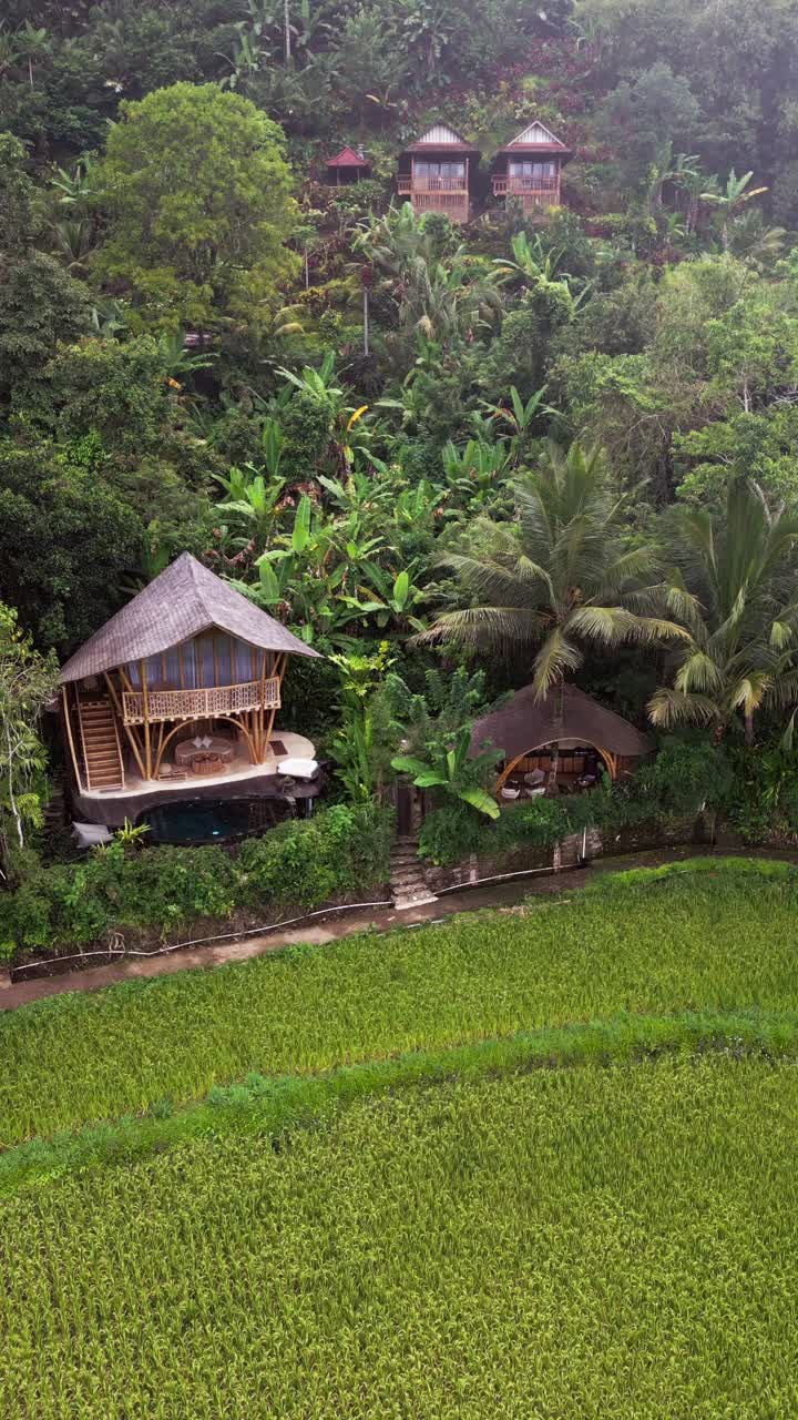 Vertical drone shot featuring a bamboo house among lush tropical valley in Sidemen Bali, highlighting sustainable craftsmanship, wooden textures, and calm natural beauty in serene surroundings